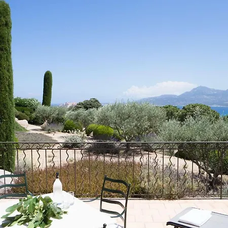 La Calvi カルヴィ